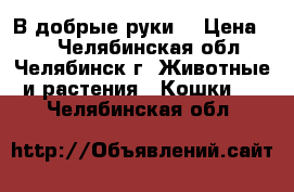 В добрые руки. › Цена ­ 1 - Челябинская обл., Челябинск г. Животные и растения » Кошки   . Челябинская обл.